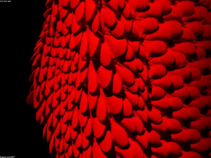 Tech-style illustration of a digital ecosystem showing IPTV connectivity: smartphone, tablet, and smart TV connected via glowing blue network lines, cloud storage icon in center, modern flat design with gradient backgrounds (blue to purple), clean typography showing 